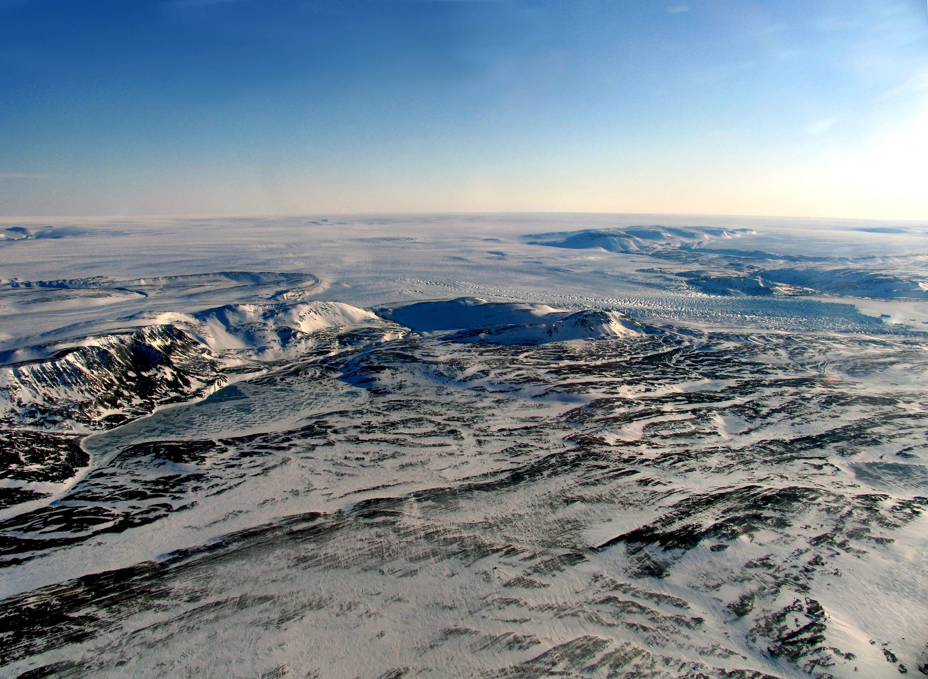 Тюлень гыданского заповедника. Остров шокальского. Остров шокальского. Остров шокальского. Гыданский заповедник.
