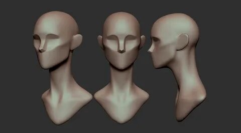 Stylized Female Head Planes for Sculpting Stylized 3D model CGTrader