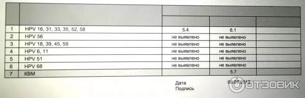 Папилломы человека 31. HPV 16 31 33 35 52 58 норма у женщин. HPV 16, 31, 33, 35, 52, 58 (В.Р.). HPV 16.31.33.35.52.58 расшифровка.