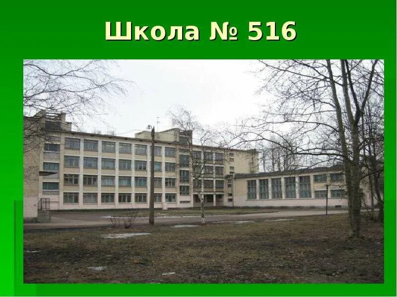 Школа 516. Спб школа номер 516. Учителя 516 школы спб. Одесская 13 школа. Фото школы 516.