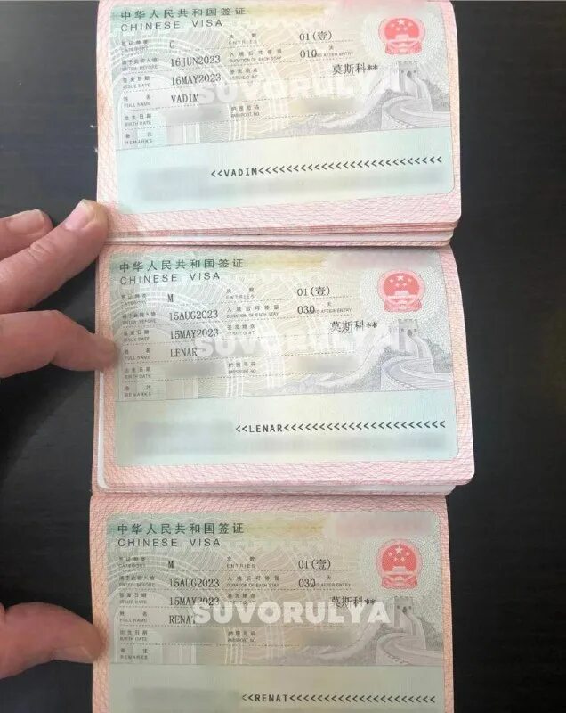 Chinese visa china. идентификатор визы китай. студенческая виза в китай. виза в пекин. транзитная виза в китае.