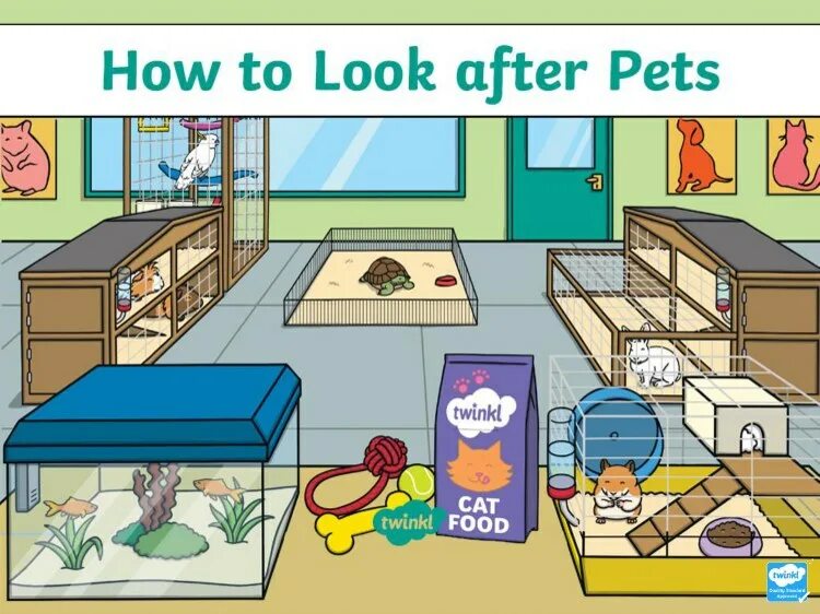 How to look after Pets. Look after Pets Worksheet. I look after my Pets . Игра. Pet картинки для описания. After your pet