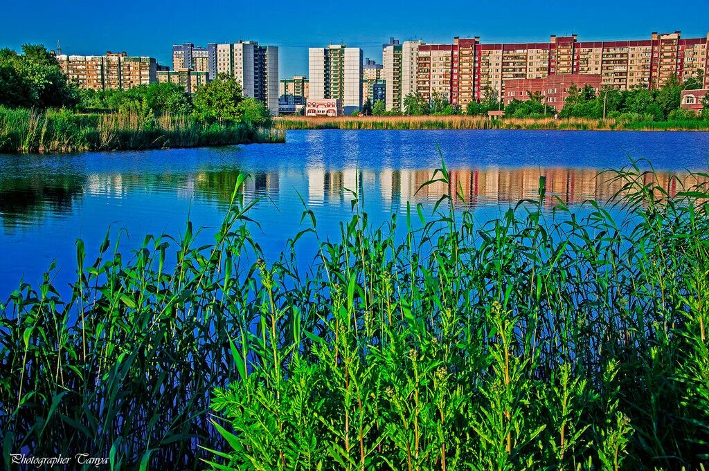 Парк озеро долгое санкт-петербург. Парке «озеро долгое». Парк озеро долгое санкт-петербург. Парке «озеро долгое». Долгоозерная озеро.