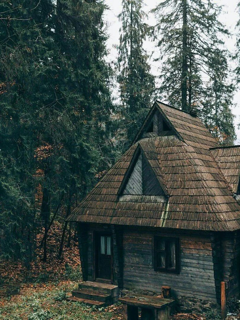 desertwandererdesgins Cabins in the woods, House in the woods, Cottage in the wo
