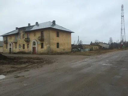 Матокса ленинградская