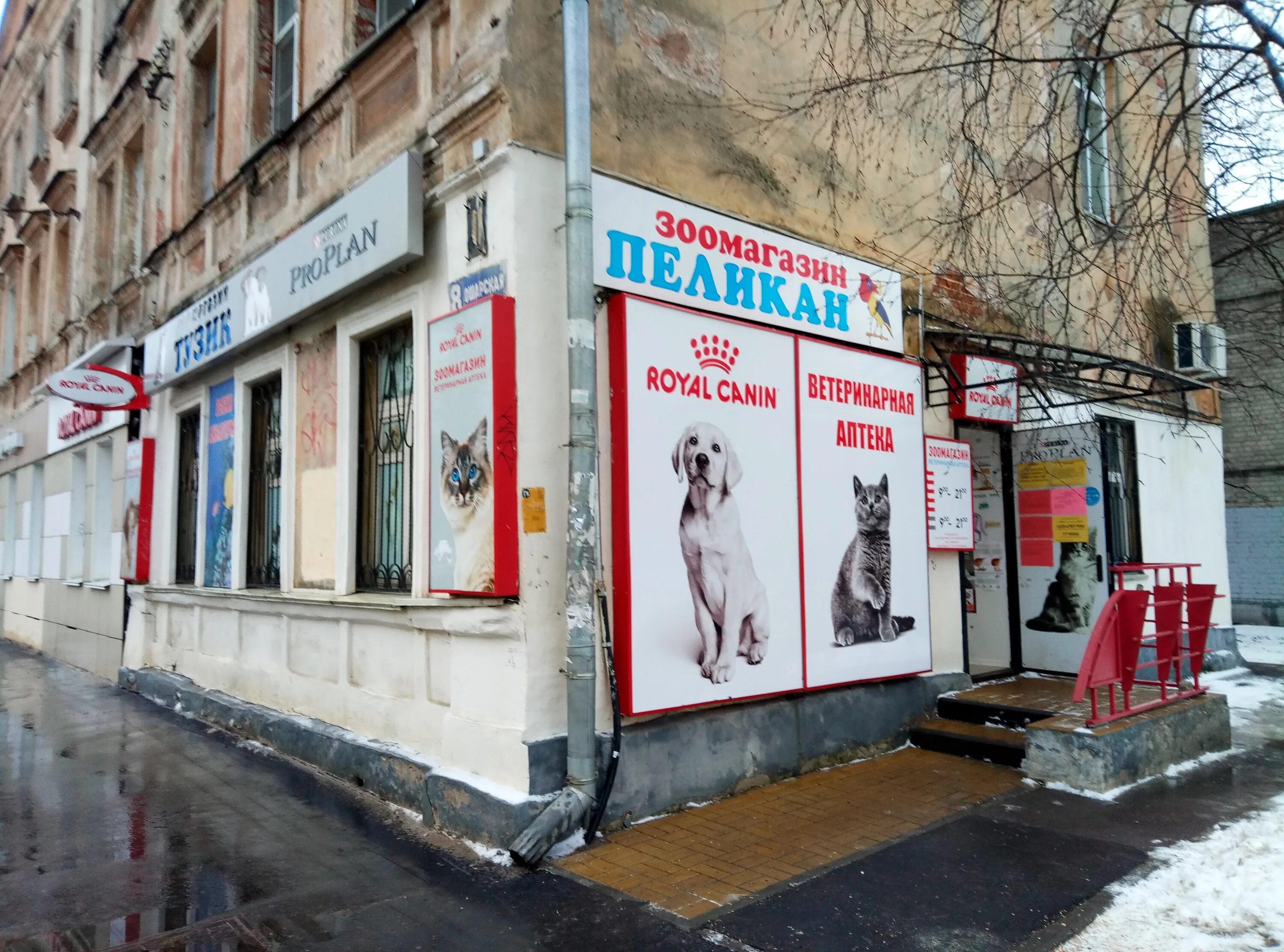 ветаптека нижний новгород. ветеринарная аптека яворского прокопьевск. ветеринарная аптека. ветеринарная клиника чехов веттайм. ветеринарная клиника нижний новгород сормовский район.