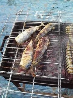 Щука на мангале рецепты