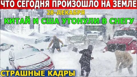 Где произошло последнее землетрясение ураган или цунами