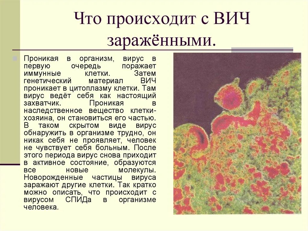 ВИЧ что происходит с организмом. Вирус ВИЧ инфекции поражает клетки. Что происходит с организмом при ВИЧ. Спид какая болезнь