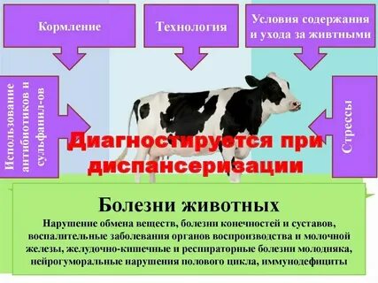 Способ содержания животных