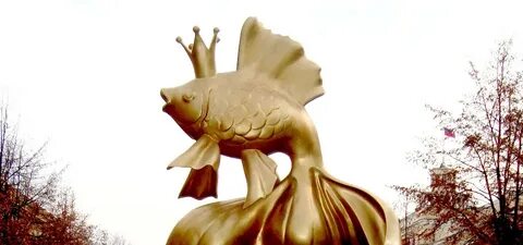 Золотая рыбка воронеж