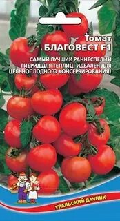 Благовест томат описание