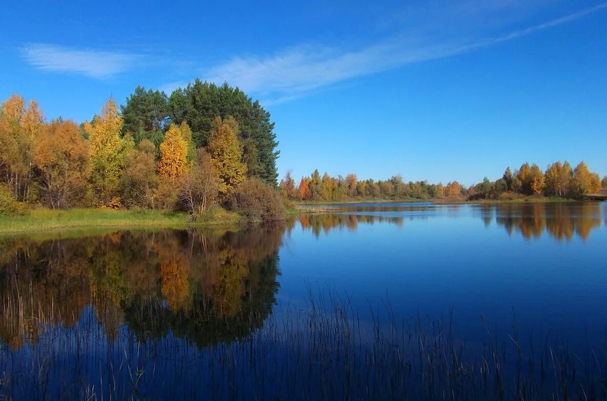 Богатства мордовии. Озеро Ендовище Мордовия. Озеро Ендовище Темников. Краснослободск Мордовия парк. Природа Краснослободска Мордовия.