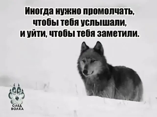 Иногда лучше перемолчать. Иногда исчезнуть чтобы тебя заметили. Иногда для того чтобы тебя услышали. Иногда лучше уйти. И ничего не надо просто будь