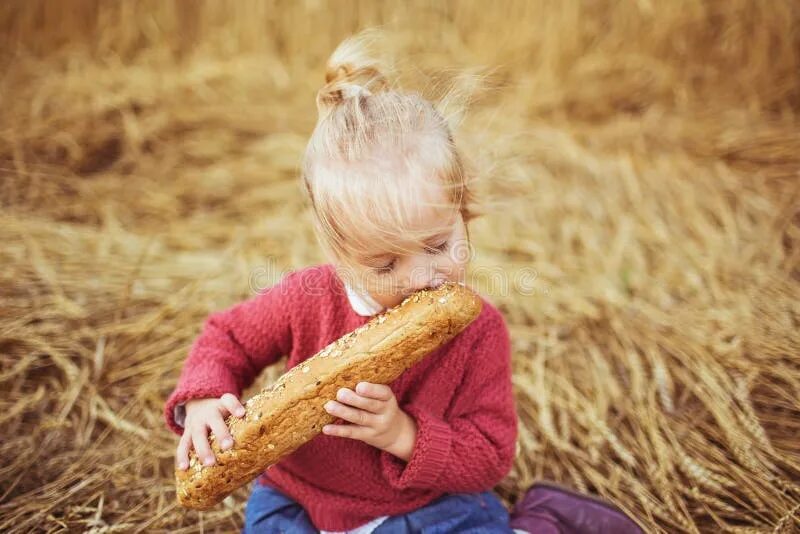 Собирают люди хлеб. Девочка ест хлеб на поле. Девочка с хлебом. Девушка ест хлеб. Ребенок ест хлеб.