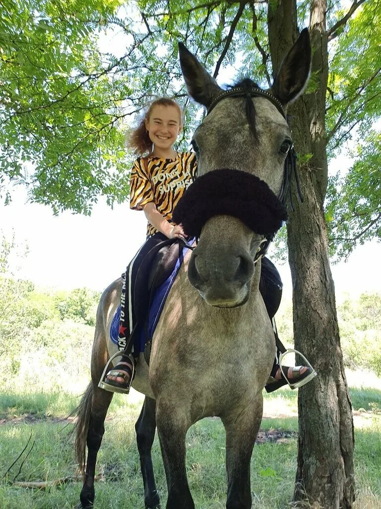 Конные прогулки kve_Elita, Ростов-на-Дону. Гурульба конные прогулки. Прогулочная лошадь. Конные прогулки дон