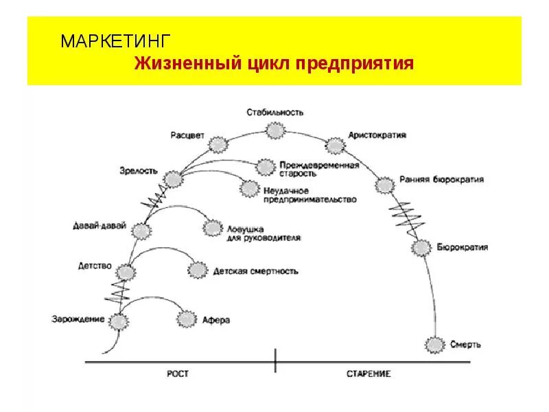 Полный маркетинговый цикл. Этапы жизненного цикла организации Apple. Apple жизненный цикл предприятия. Жизненный цикл в маркетинге. Жизненный цикл предприятия схема.