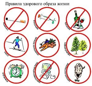 Как вести здоровый
