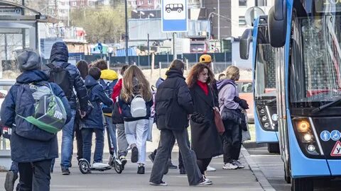 Льготный проезд для школьников в москве