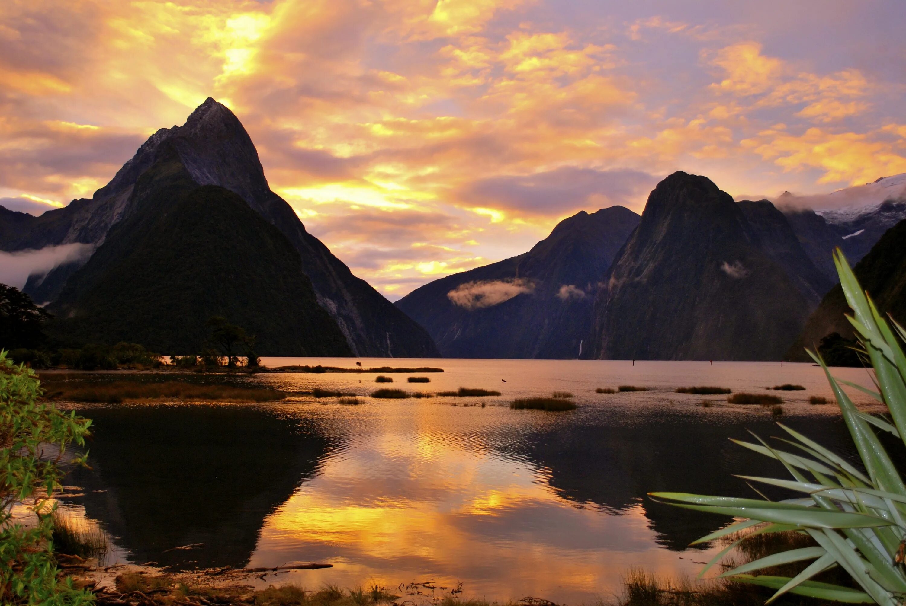 New zealand national. Национальный парк Фьордленд. Заповедник Фьордленд новая Зеландия. Национальный парк Фьордленд, Южный остров, новая Зеландия. Национальные парки * Фьордленд в новой Зеландии..