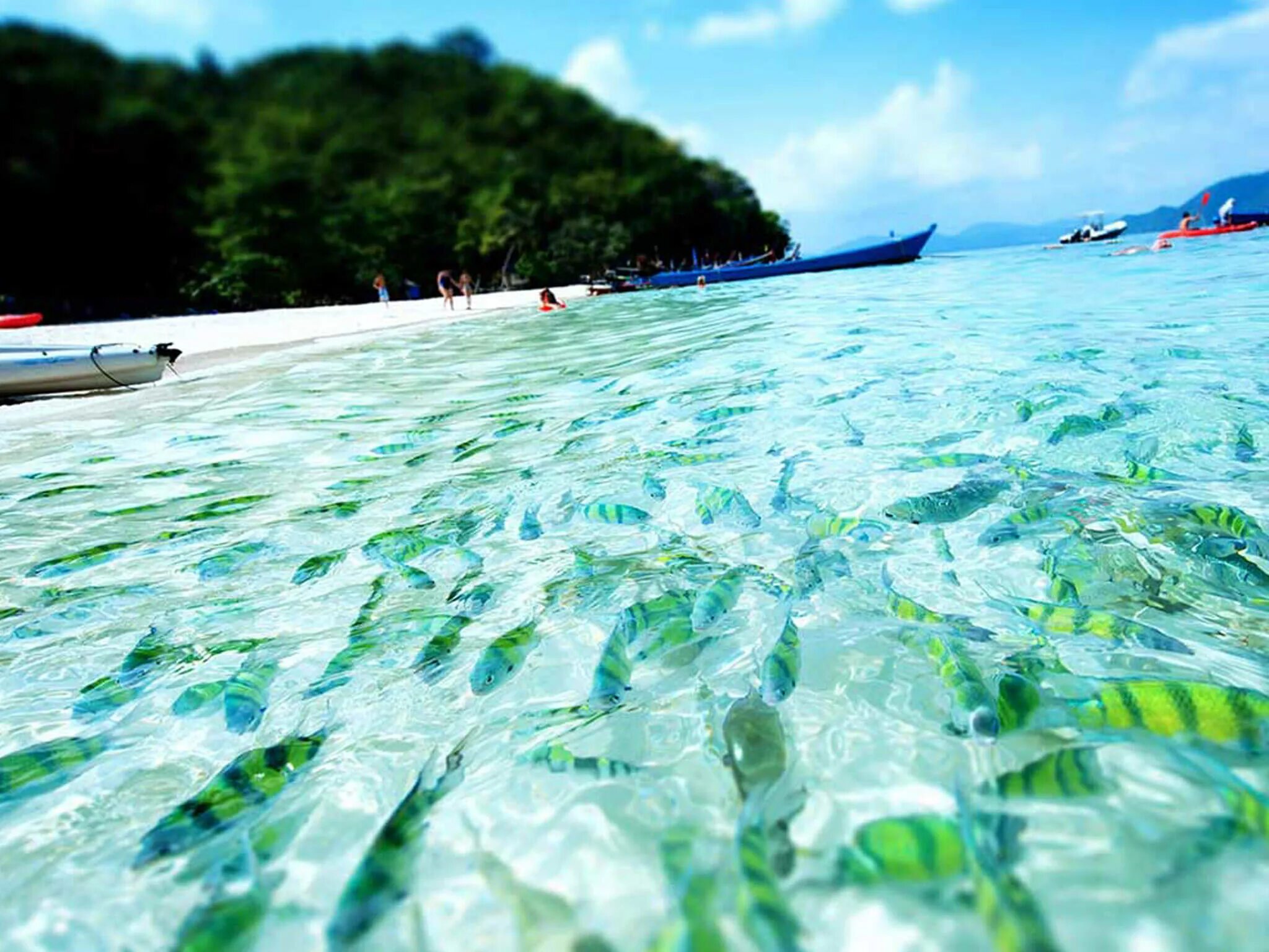 Coral island. Коралловый остров Тайланд. Остров коралл Пхукет. Тайланд Пхукет остров Корал. Корал Исланд Пхукет.