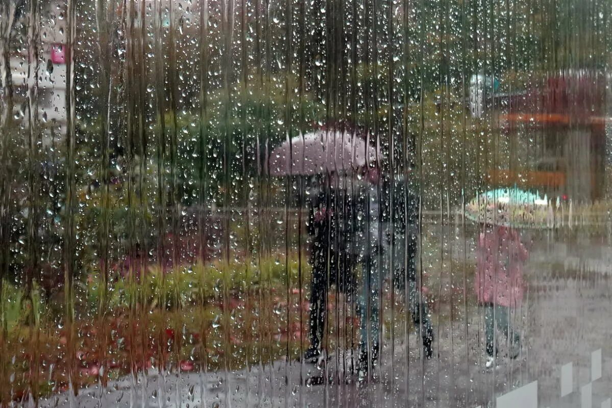 эдуард гордеев. осенний дождь в городе. пасмурный день. санкт-петербург дождь. эдуард гордеев петербург.