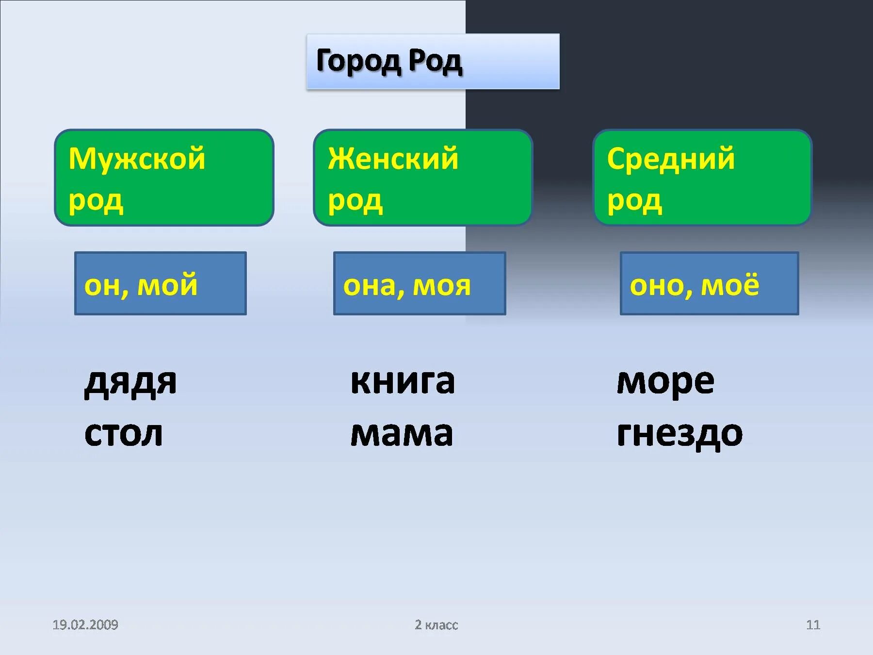 Шоссе мужской род. Мужской род. Лунь род существительного. Лунь женский род. Дерево мужского рода плодородный.