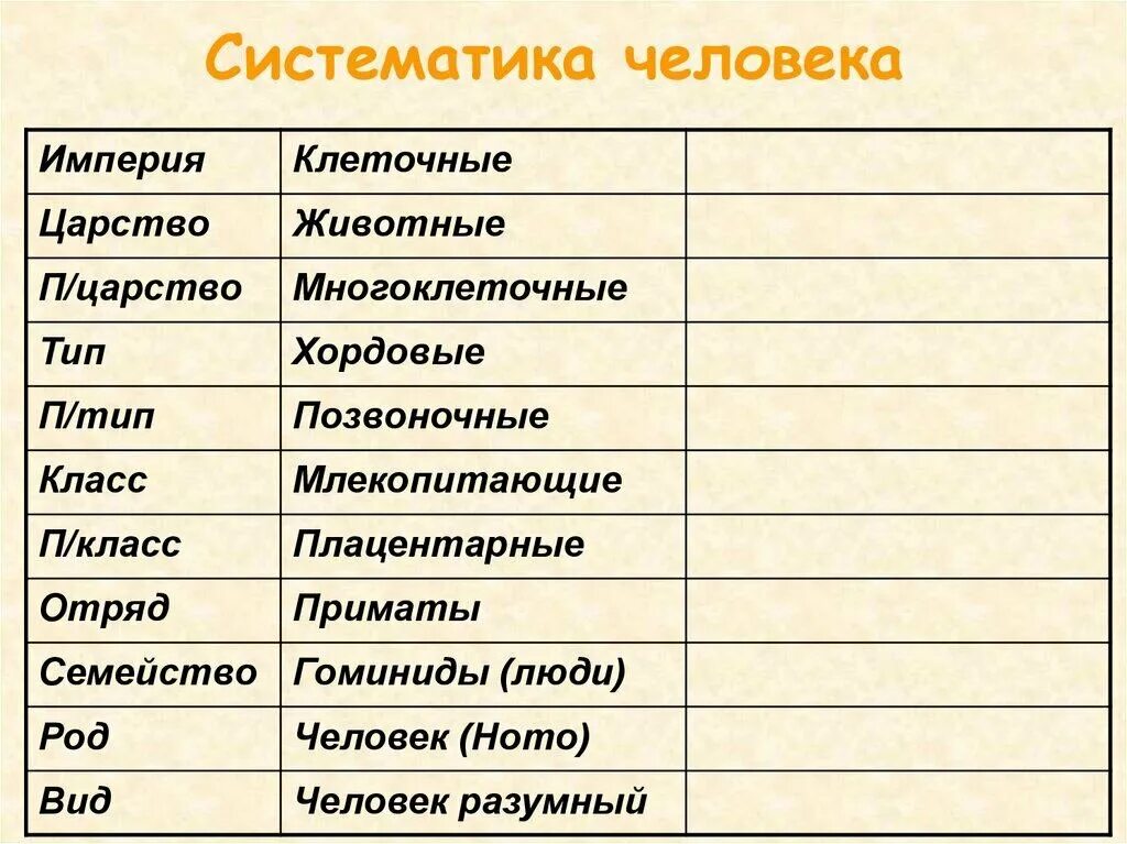 Систематические таксоны человека. Систематическое положение человека Тип класс отряд. Систематика человека биология 5 класс. Систематическое положение человека царство. К 1 группе относится