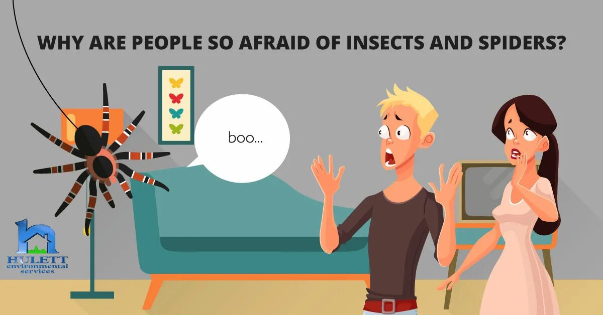 Why are you afraid. Afraid of Spiders. Are you afraid of Spiders ответ. Why are people. Afraid of примеры.