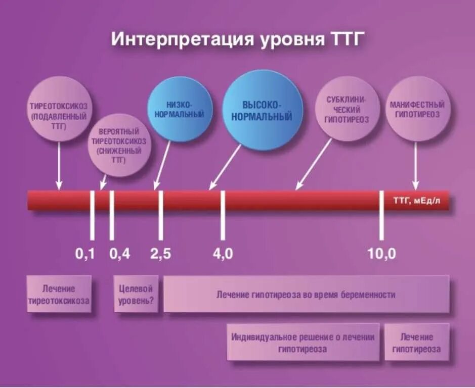 Уровень ТТГ. Интерпретация уровня ТТГ. Целевые уровни ТТГ. Низкий ТТГ при нормальном беременности.