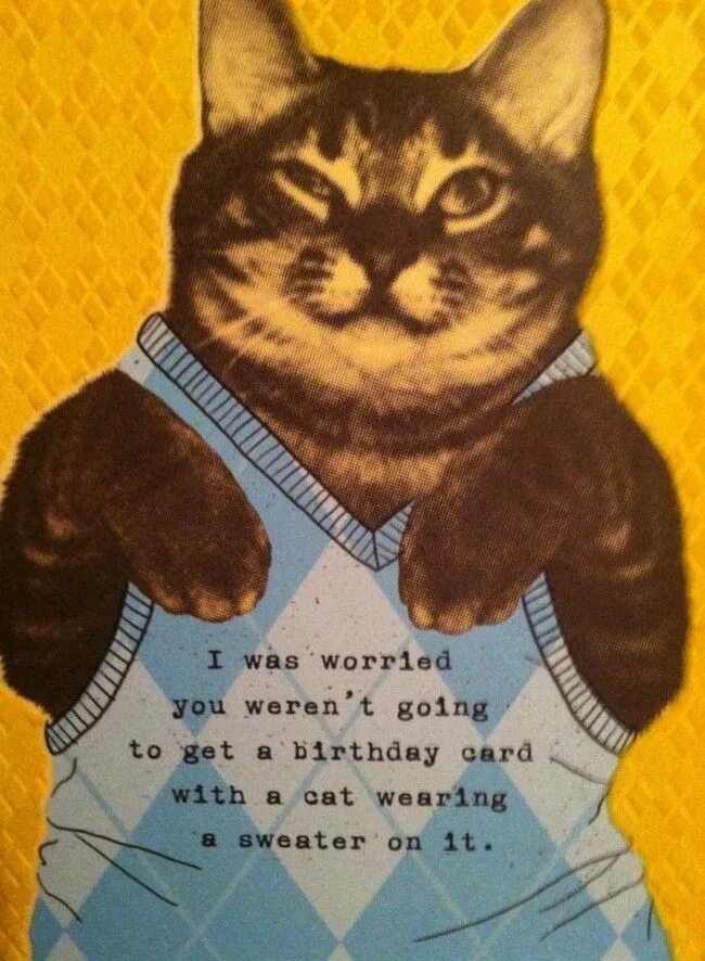 The will get cards with the. Funny birthday cards. happy birthday card. funny birthday greetings. happy birthday funny cards for men.