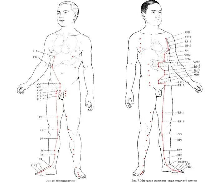 Каналы китайской медицины. Меридиан селезенки в китайской медицине. Меридиан печени в китайской медицине. Канал печени в китайской медицине. Точки канала селезенки.