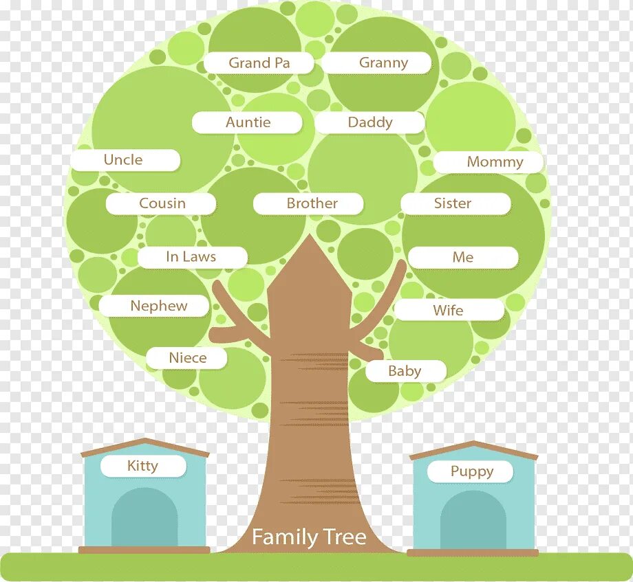 Структура в виде дерева. Семейное дерево. Семейное дерево иерархия. Строение семейного дерева.