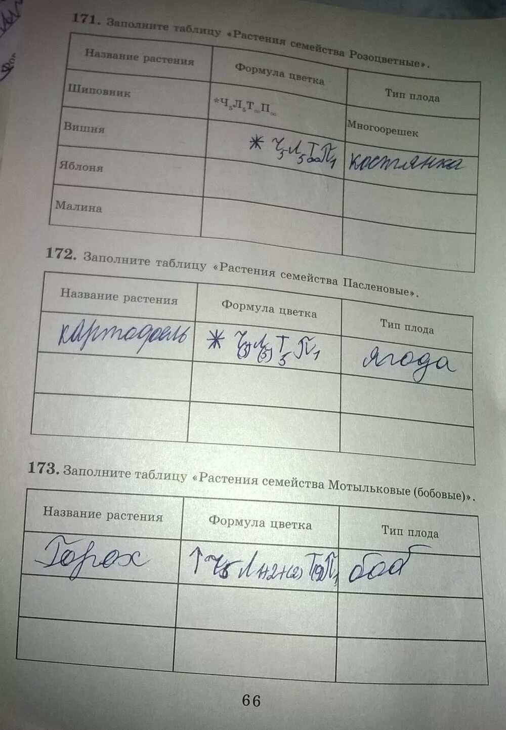 Биология 6 класс учебник стр 66 таблица