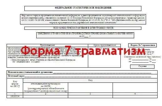 Образец заполнения 7 травматизм форма. Статистическая форма 7 травматизм бланк 2021. Травматизм отчет. Форма отчета по травматизму. Форма 7 по травматизму.