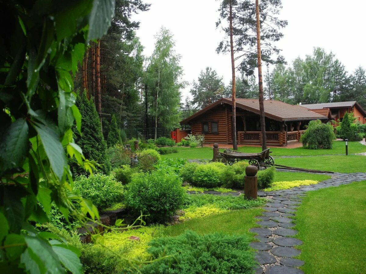 Биологический загородный. Ландшафт в Сосновом лесу. Ландшафт участка с соснами. Дачный участок с домом с соснами. Загородный участок с соснами.