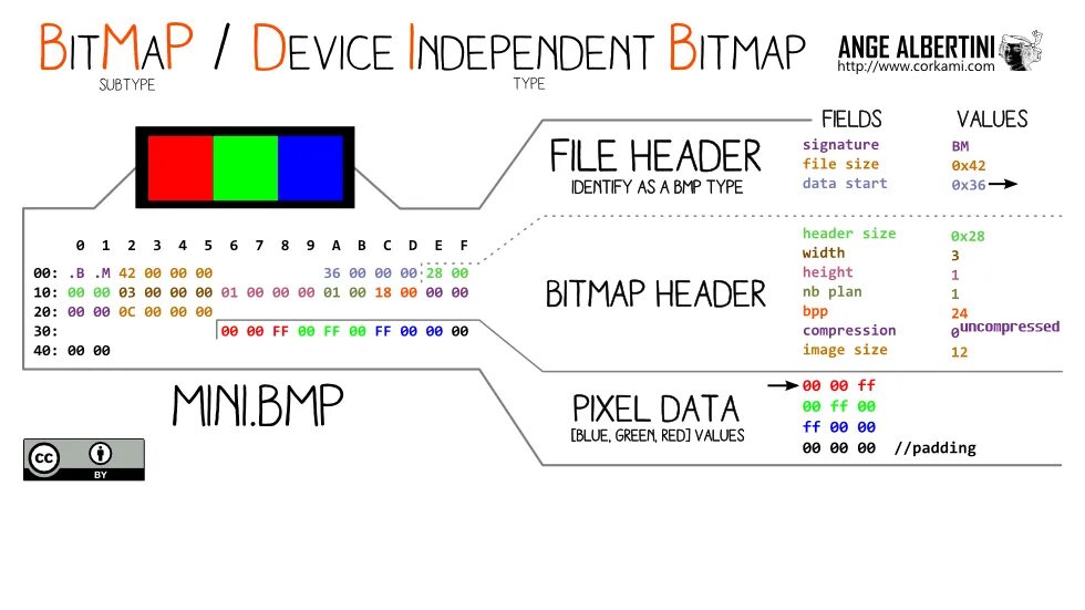 Bmp какой файл. Структура bmp. bmp заголовок. bmp структура формата. структура bitmap.