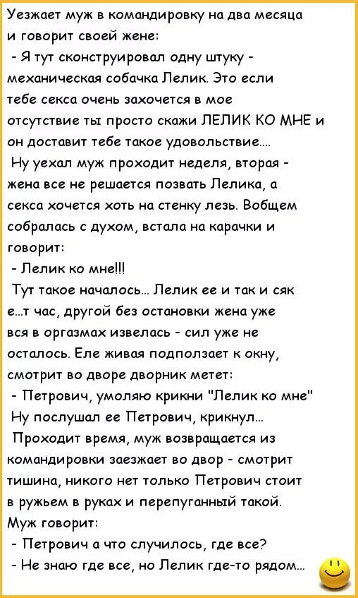 Муж уехал в командировку на год. Муж уехал в командировку. Анекдот про Лёлика робота. Анекдот про командировку и робота. Анекдоты про мужа в командировке.