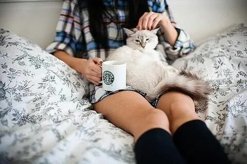 Кот лучше девушки