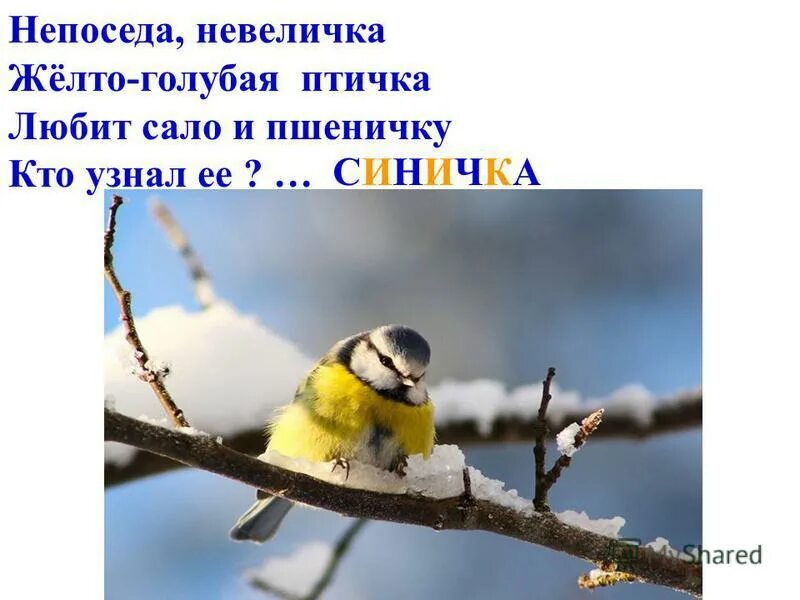 Текст синичка. Разные формы слова синица. Придумать предложение со словом синица. Синица словарное слово. Звуковой анализ синица.