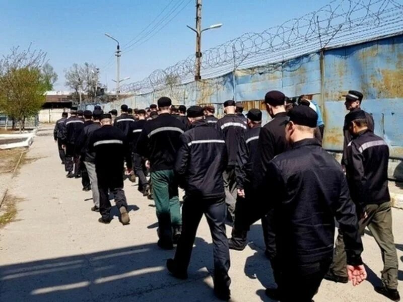 19 колония волгоград. Колония 26. Волгоградская колония общего режима. Ерцево ик 28 колония строгого режима. Фку ик 19 суровикино.