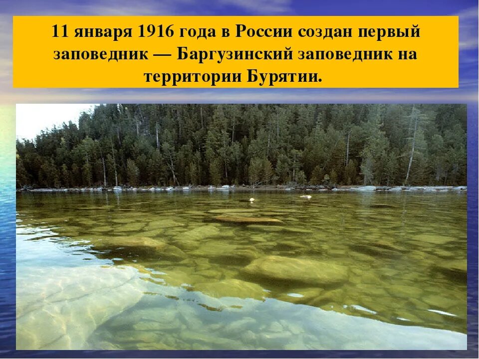 Национальный заповедник россии сообщение. Проект заповедник. Заповедники и национальные парки России проект. Национальные парки России 4 класс. Заповедники и заказники России презентация.