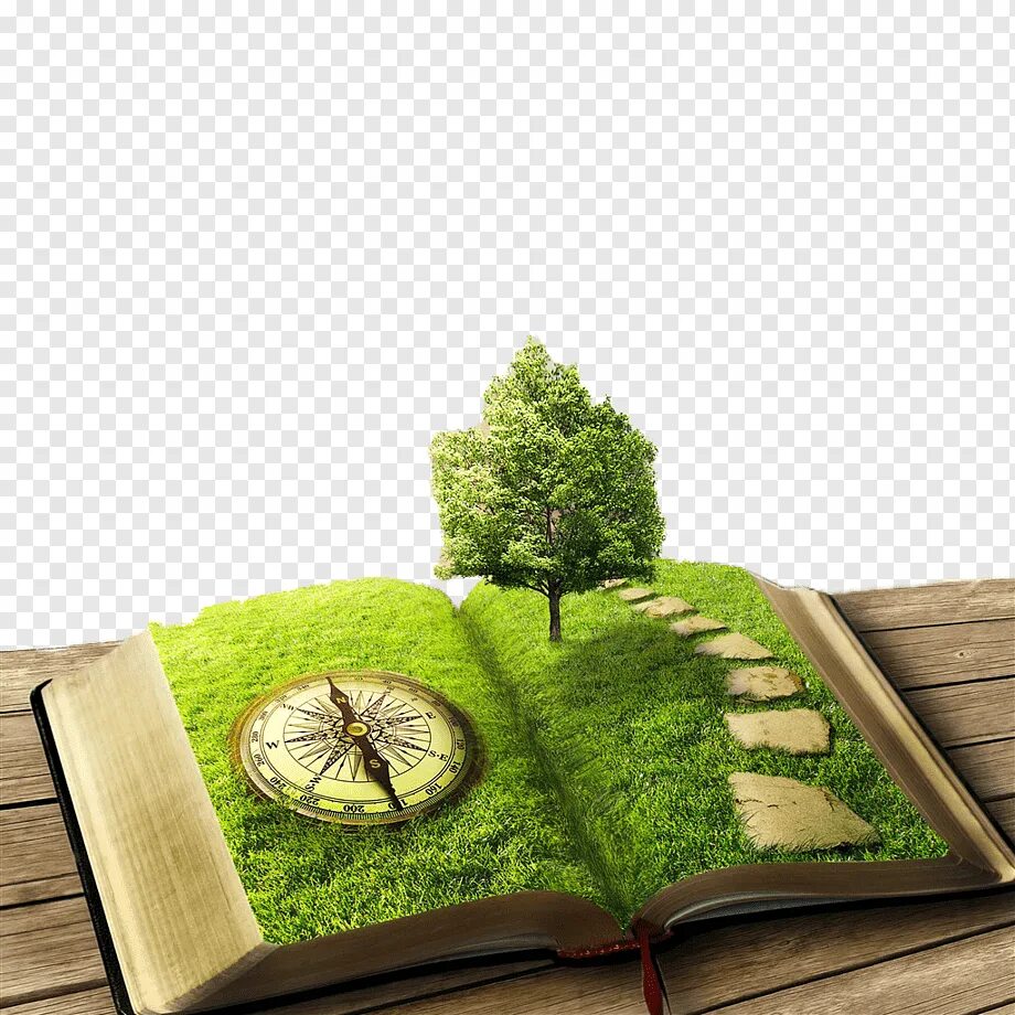 Ecology book. Дерево с книгами. Экологический фон. Экологическое дерево. Книги про экологию.