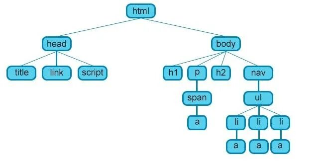 Структура дерева dom. Структура html документа элементы. Структура html дерево. Dom дерево html. Span script