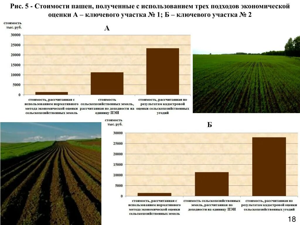 Оценка сельскохозяйственных угодий. Трансформация земельных угодий. Эколого-экономическая оценка сельскохозяйственных угодий. Особенности сельскохозяйственных угодий.