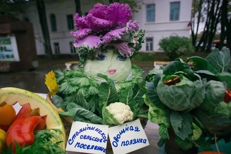 День капусты 17 февраля. Капустки праздник. Капуста праздничная. Барыня капуста. Капустник это праздник.