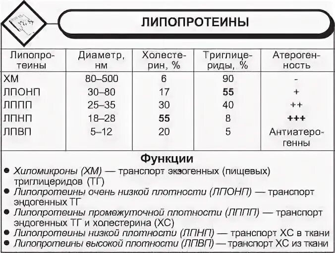 Липопротеин что это значит