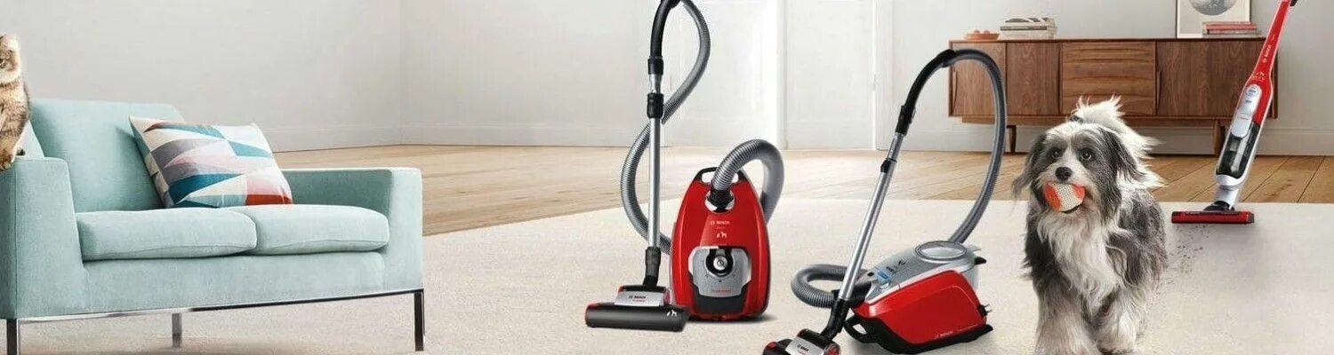 Пылесос включи пылесос в моем доме. Bosch Vacuum Cleaner. Пылесос Bosch bbh625m1. Пылесос бош для уборки шерсти. Пылесос Bosch bgs7pet.