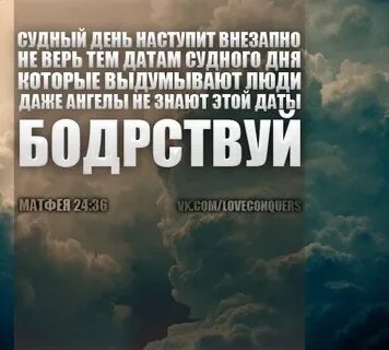 Дни ноя 2