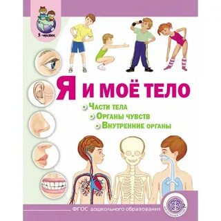 Подпиши органы чувств
